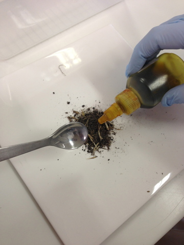 Ph level testing for Week 3 soil samples is undertaken