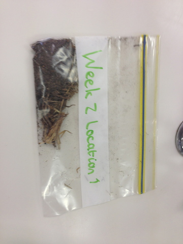 Jo collects dirt for Week 1 Ph Level Testing & Texture Testing