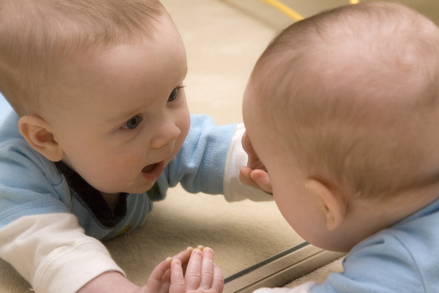 12-15 months - Cognitive