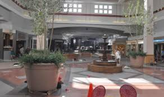 The Green Moon Mall Shooting