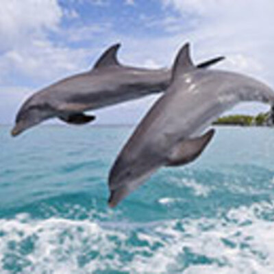 Timeline: Australian Federation