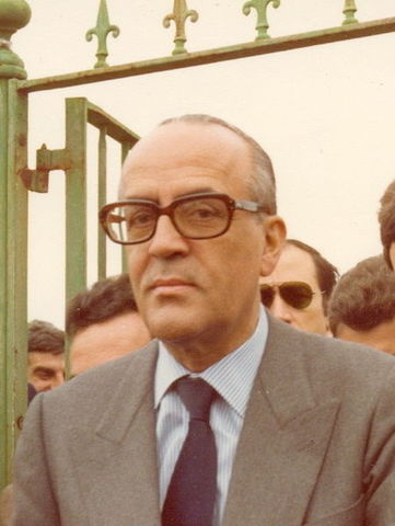 Gobierno de Leopoldo Calvo Sotelo (1981-1982)