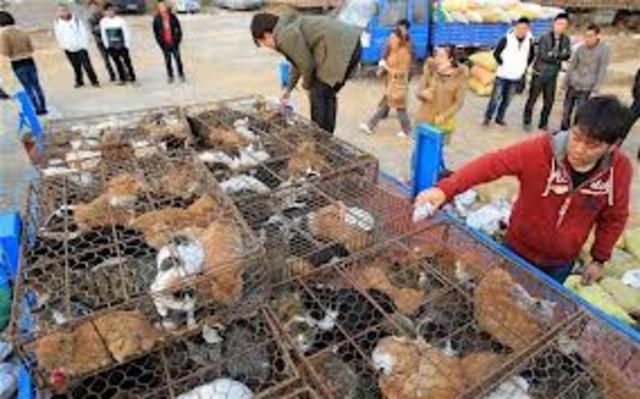 St. Barholomew's Day Massacre