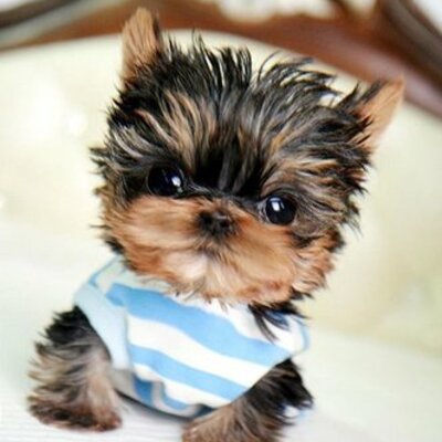 Timeline: Cold War Activity