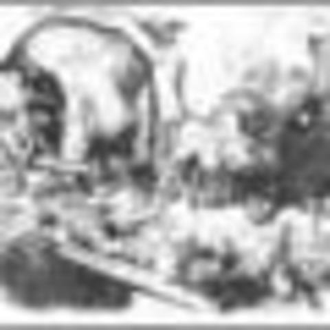 Thomas Nast - Political Cartoonest