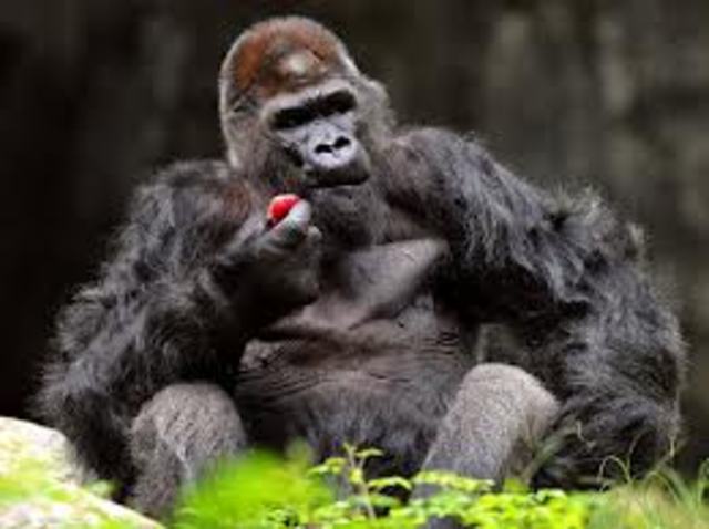 St. Bartholomew's Day massacre