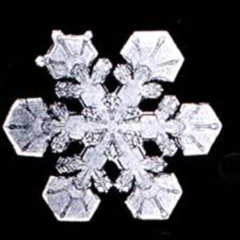 Blizzard shuts down activity across the state