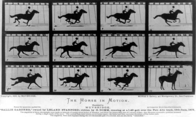 Eadweard Muybridge - Stop Motion