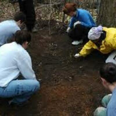 Timeline: Forensics Body Farm