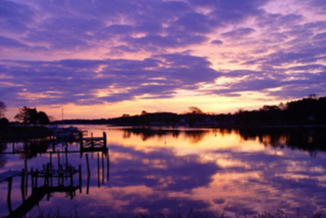 Giovanni de verraz discovers the cheasapeake bay