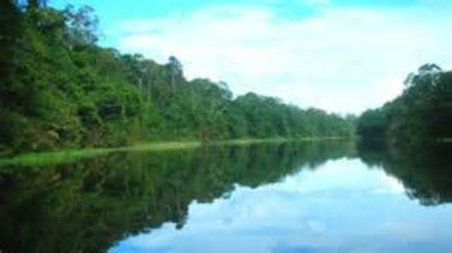 Impactos ambientales en Brasil