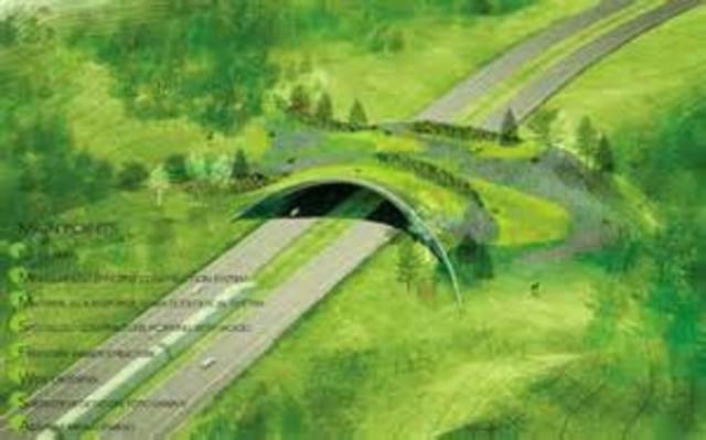 Ley 2006 sobre Evalución Ambiental de Planes y Programas