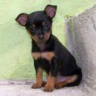 Timeline: La vida de Missi