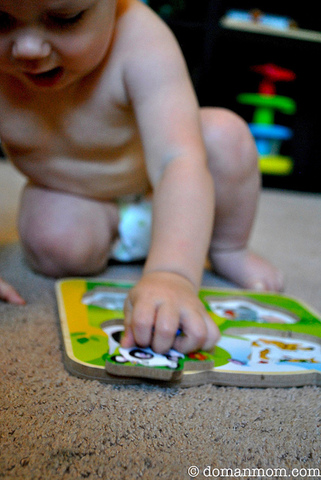 19-21 Months Cognitive