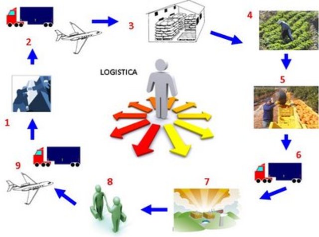 Enfoque de las Empresas hacia la Logistica