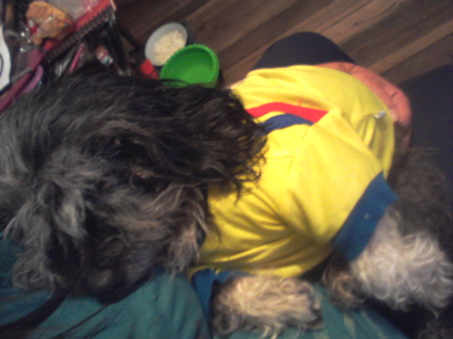 EL MEJOR AMIGO QUE ME REGALARON