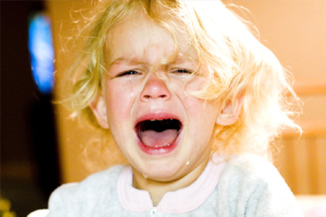 22-24 Months Cognitive Development