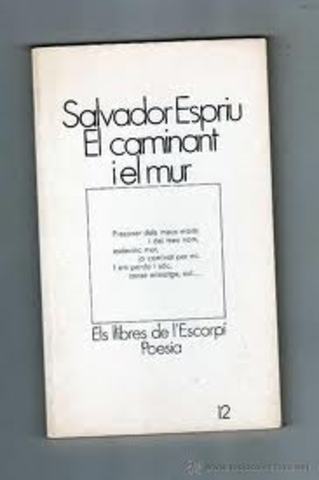 El caminant i el mur