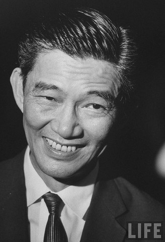 South Vietnam Referendum