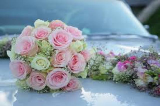 Lassi ja Jürga pulm