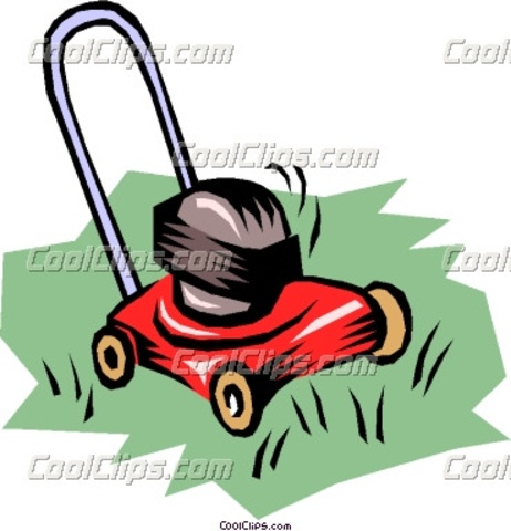 Cut grass during summer/fall