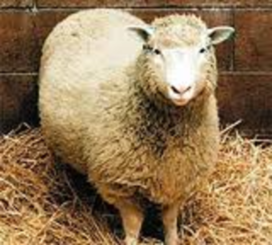 Dolly the Sheep