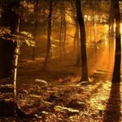 Timeline: History Timeline: Danny Keyes