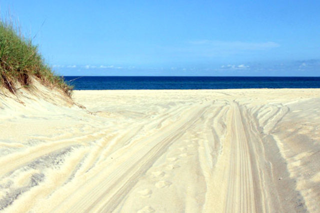 First trip to the beach!