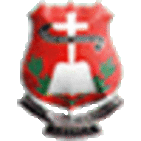 ACTUALEMENTE ESTUDIO