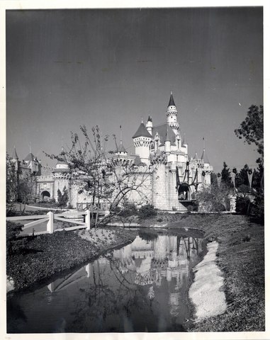 50 million people went to DisneyLand since the beginning