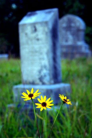 Dawson gets out of jail