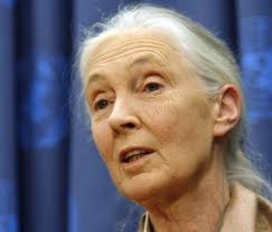 UNMP Jane Goodall