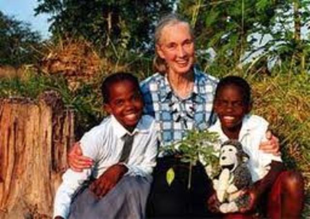 TACARE  (Take Care Program)