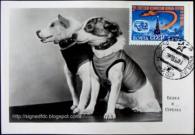 USSR: Animals Alive in Space and Back