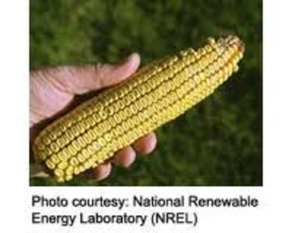 Ethanol is mixed into gasoline production. (Approx.)
