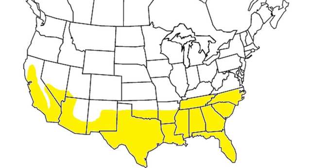 The Expansion of Air Condtioning