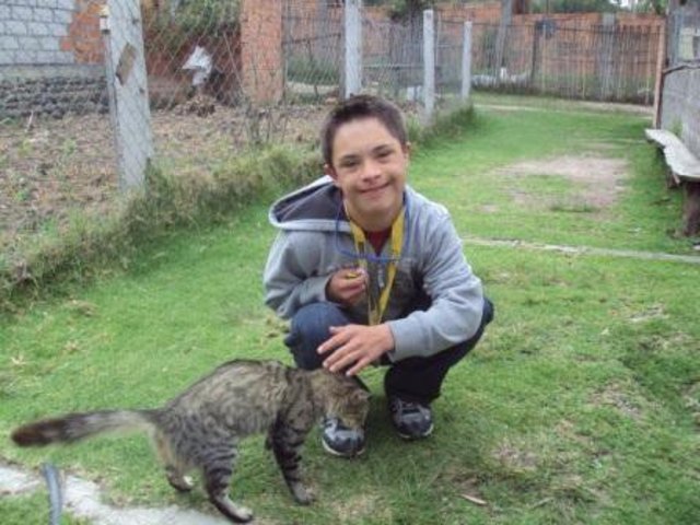 mi trabajo en la granja