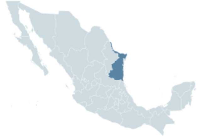 Occupation of Tampico, Tamaulipas