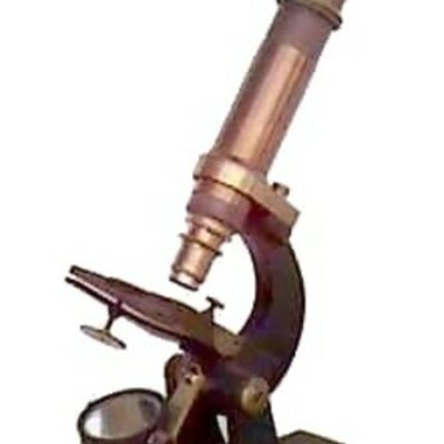 Timeline: Microscope - Cells And Systems