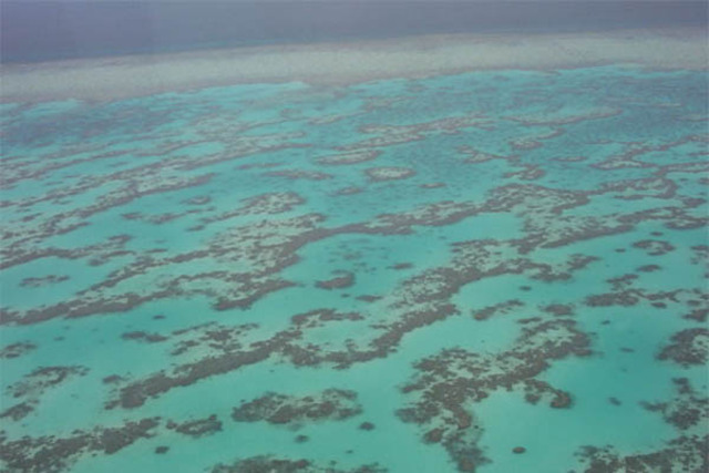 Das Great Barrier Reef bekommt eine Weltnaturerbe
