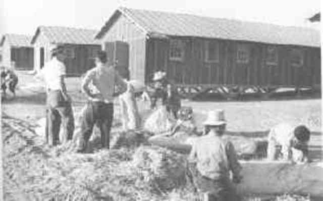 Japanese internment camps