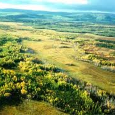 Timeline: Immigrant Project