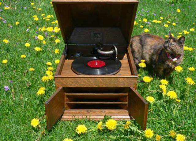 Gramophone