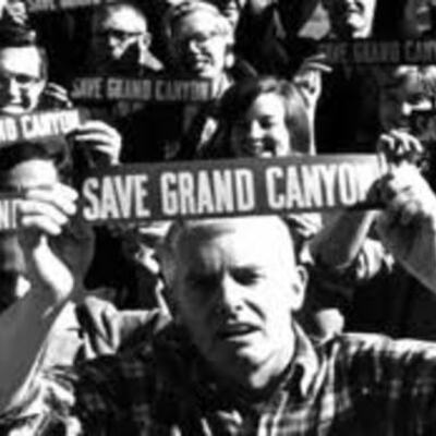 Timeline: Environmental Movement Timeline