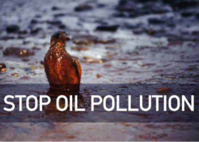 Oil Pollution