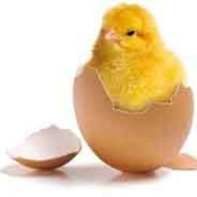 Timeline: nacimiento 2 de noviembre1982