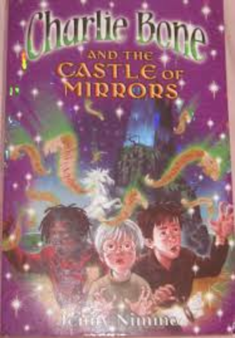 The castles of mirrors
