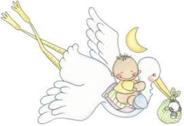 Bografía de Abigail Cajamarca