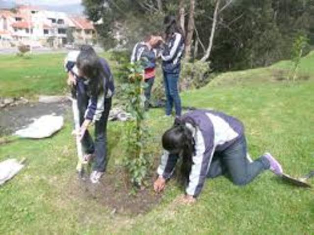 LABORES COMUNITARIAS