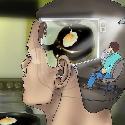 Timeline: Psicología Social